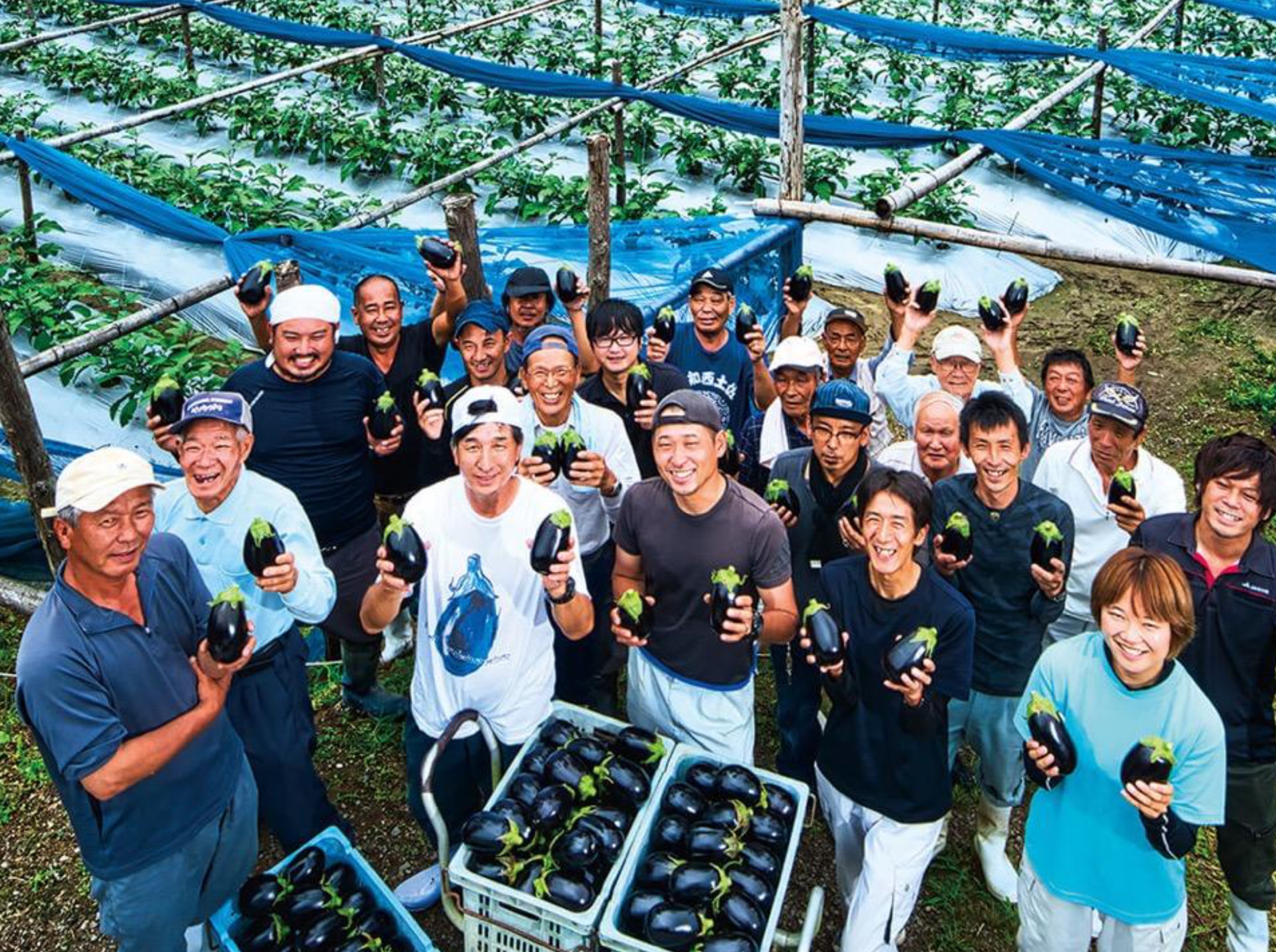 四万十川の風景