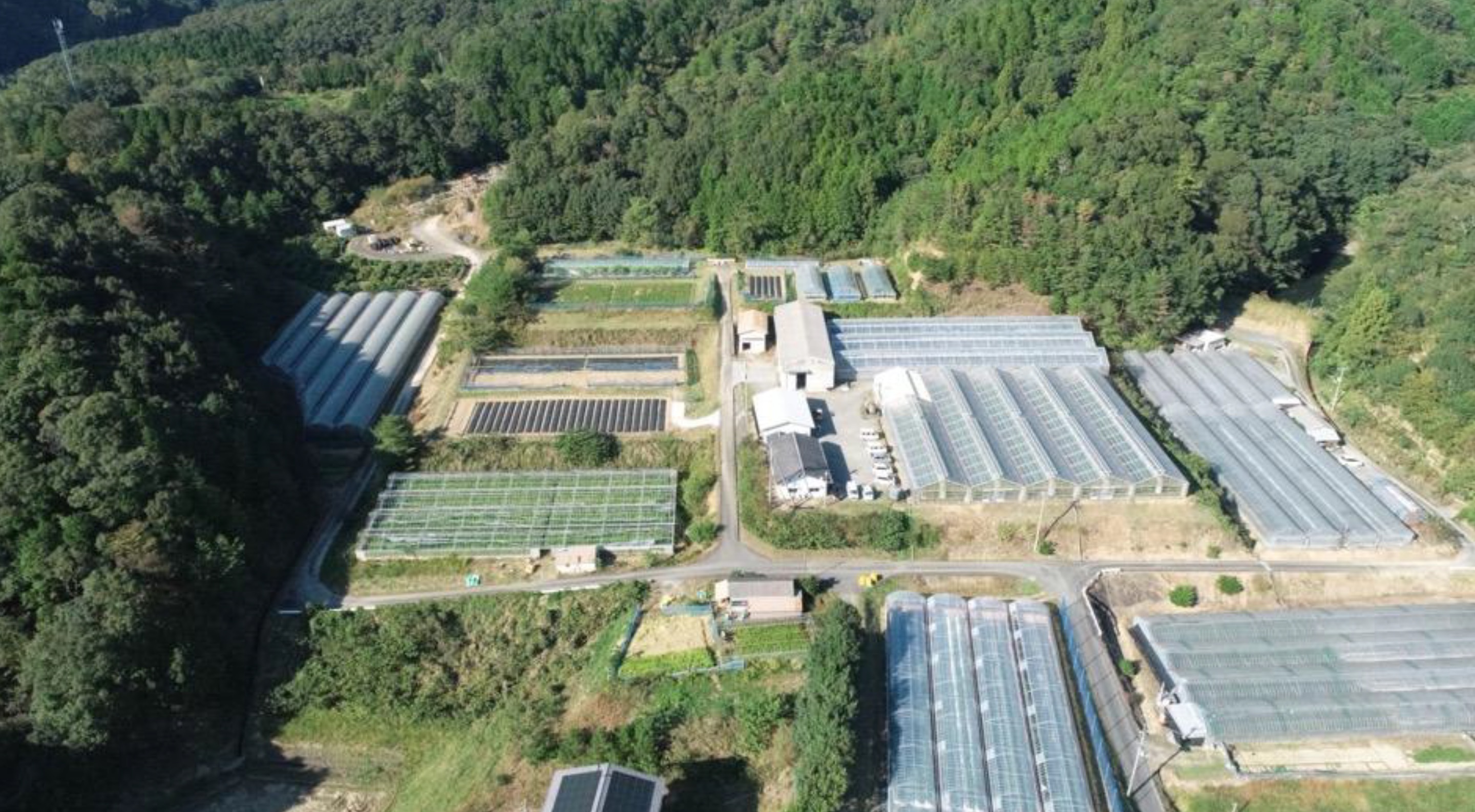 地元事業者の活動