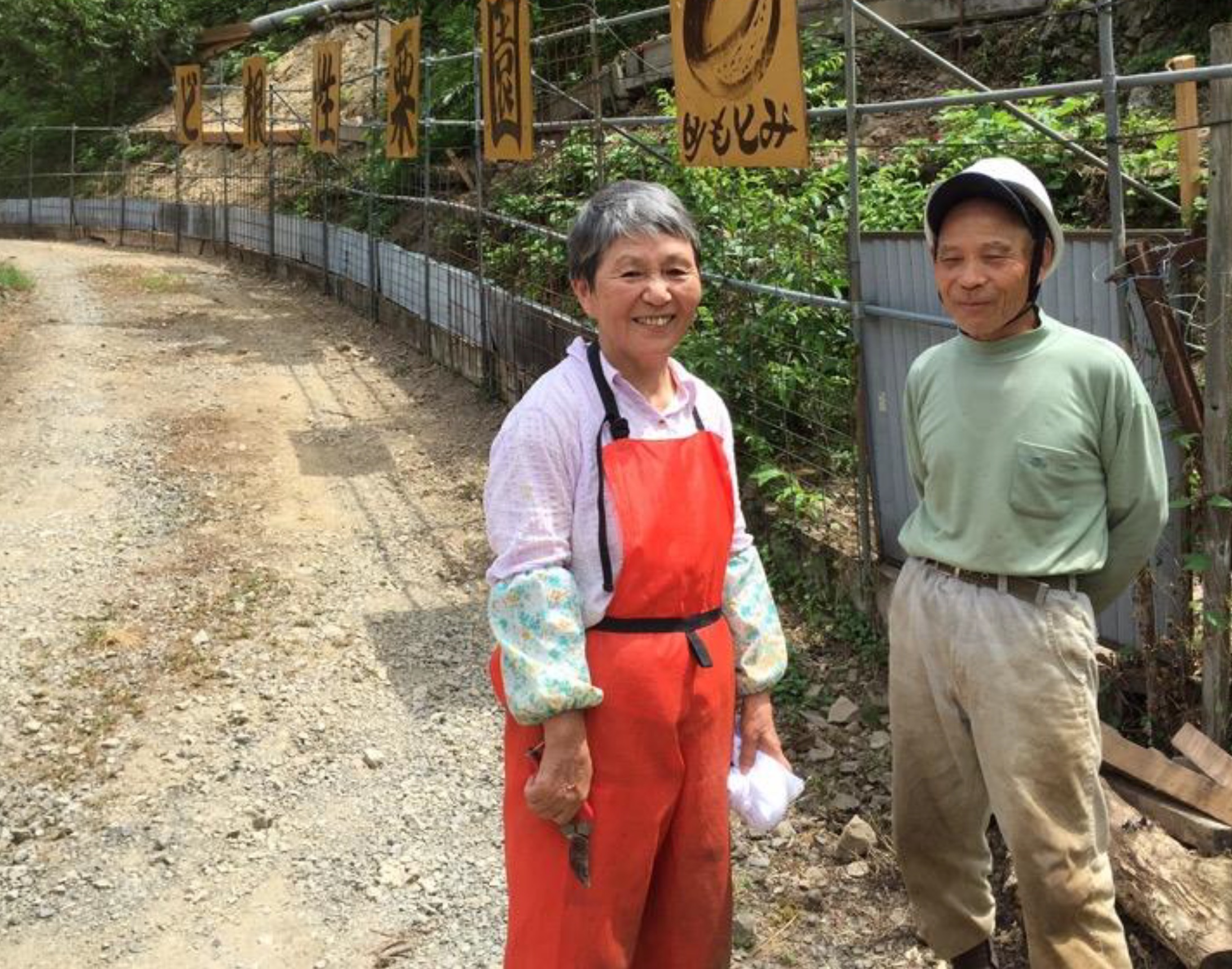 田舎暮らしの様子